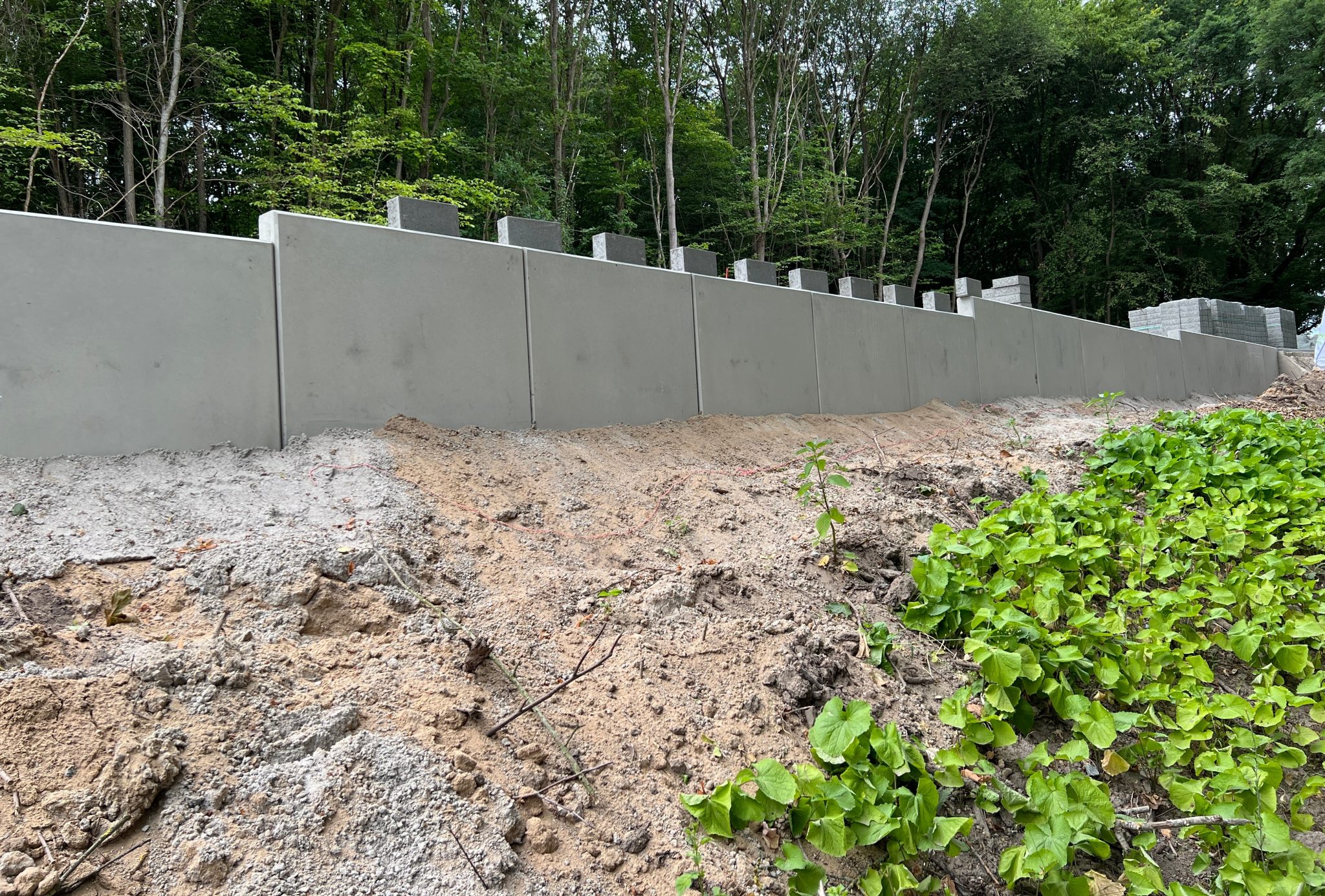 Concrete retaining wall under construction with soil and plants in front, requiring council approval for retaining walls on the Gold Coast