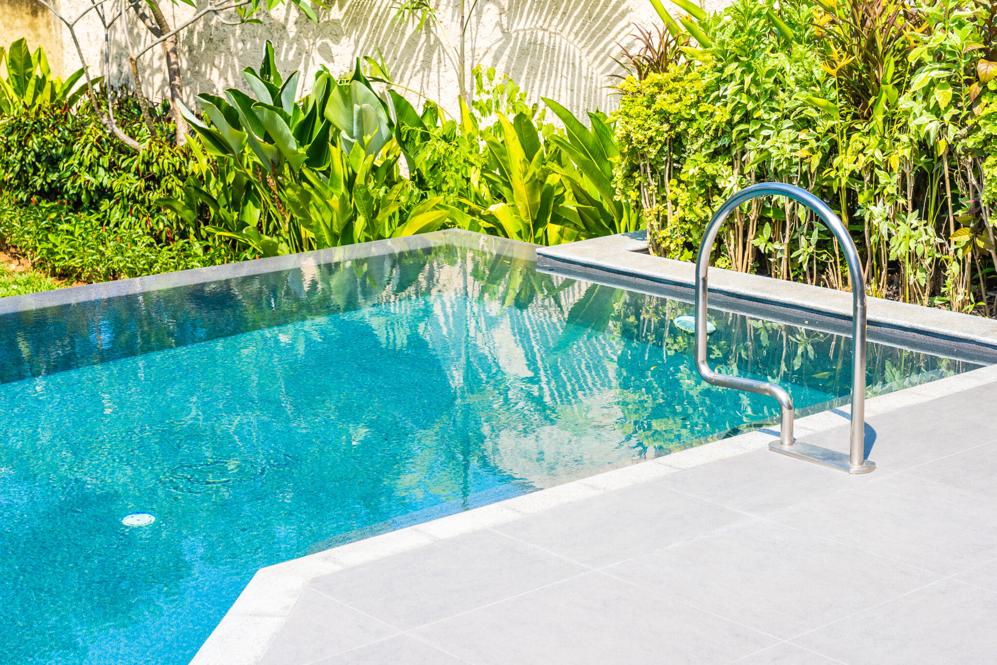 Tropical plants and poolside greenery featured in Gold Coast pool landscaping.