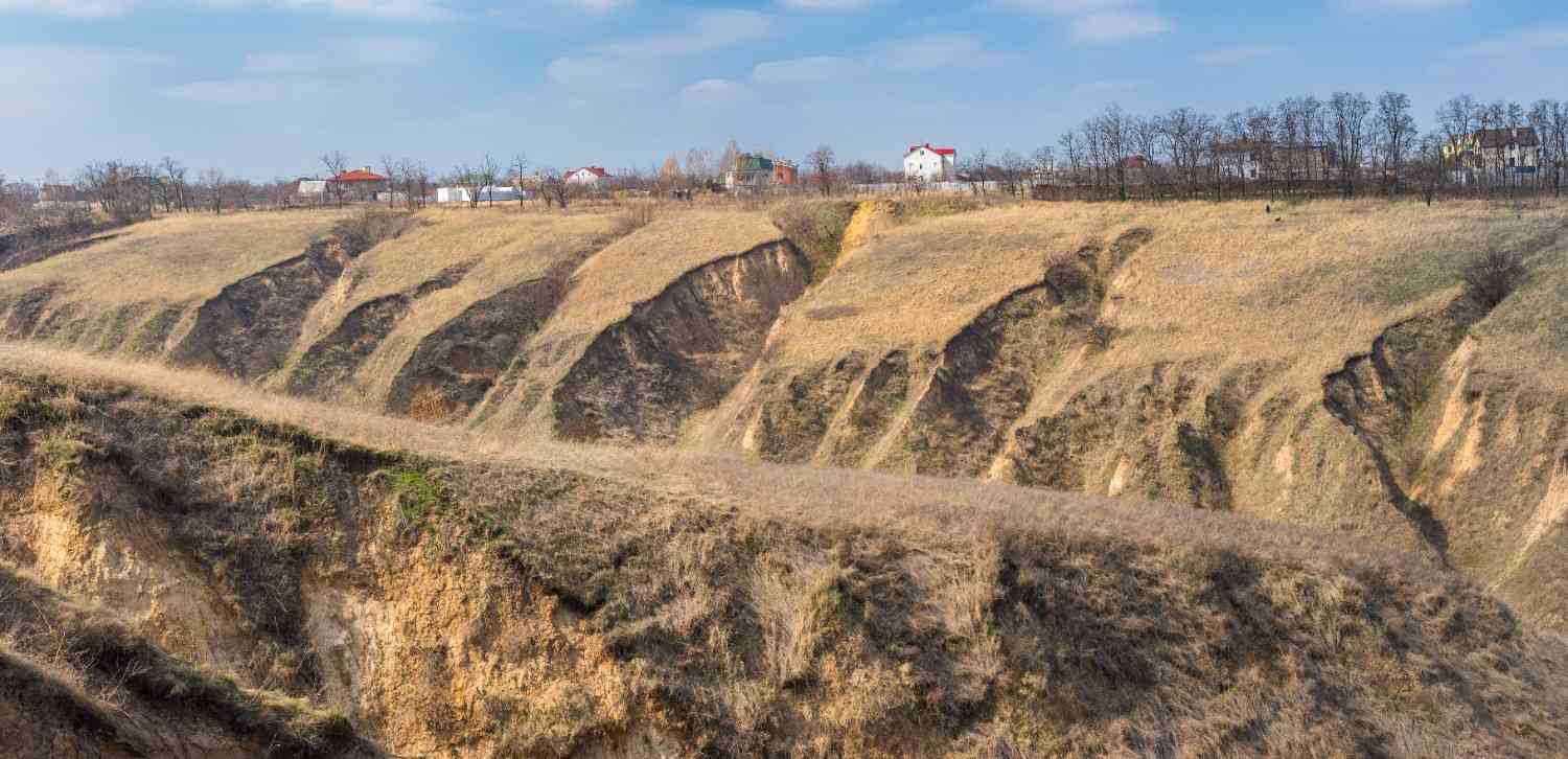 Severe erosion gullies cutting through a dry grassy hillside below a residential area on the ridge